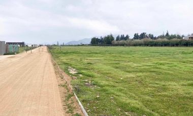 Venta Terreno 5000m2, Talagante