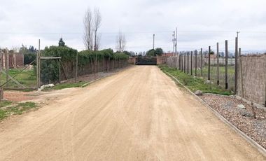 Venta Terreno 5000m2, Talagante