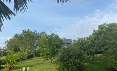 Venta de Casa en Pereira