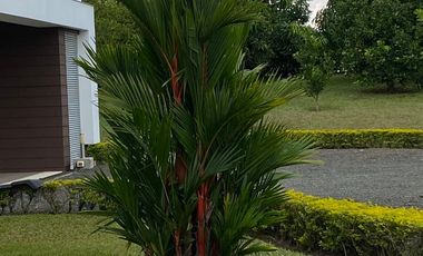 Venta de Casa en Pereira