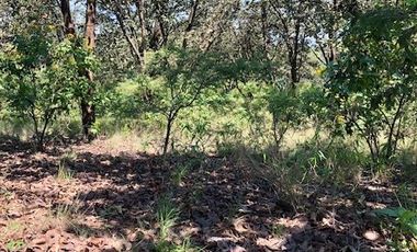 Terreno en Venta en Fraccionamiento Residencial Campestre El Roble