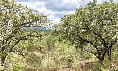 Terreno en Venta en Fraccionamiento Residencial Campestre El Roble