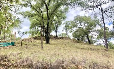 Terreno en Venta en Fraccionamiento Residencial Campestre El Roble