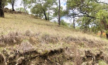 Terreno en Venta en Fraccionamiento Residencial Campestre El Roble