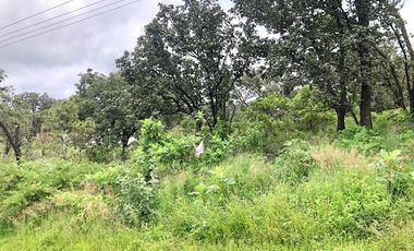 Terreno en Venta en Fraccionamiento Residencial Campestre El Roble