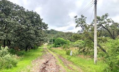 Terreno en Venta en Fraccionamiento Residencial Campestre El Roble