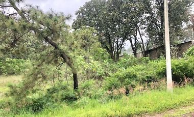 Terreno en Venta en Fraccionamiento Residencial Campestre El Roble