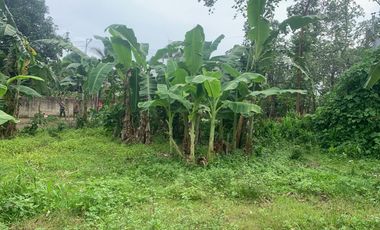 RESIDENTIAL LOT FOR SALE IN DUMAGUETE CITY ID 14914