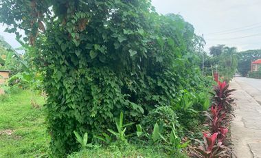 RESIDENTIAL LOT FOR SALE IN DUMAGUETE CITY ID 14914