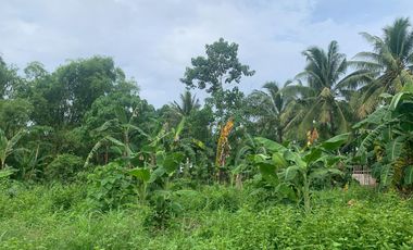 RESIDENTIAL LOT FOR SALE IN DUMAGUETE CITY ID 14914