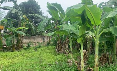 RESIDENTIAL LOT FOR SALE IN DUMAGUETE CITY ID 14914