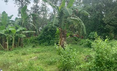 RESIDENTIAL LOT FOR SALE IN DUMAGUETE CITY ID 14914