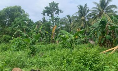 RESIDENTIAL LOT FOR SALE IN DUMAGUETE CITY ID 14914