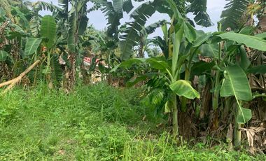 RESIDENTIAL LOT FOR SALE IN DUMAGUETE CITY ID 14914