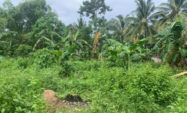 RESIDENTIAL LOT FOR SALE IN DUMAGUETE CITY ID 14914
