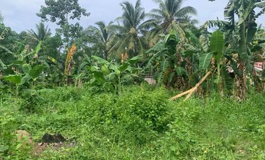 RESIDENTIAL LOT FOR SALE IN DUMAGUETE CITY ID 14914