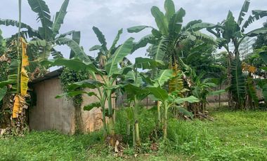 RESIDENTIAL LOT FOR SALE IN DUMAGUETE CITY ID 14914