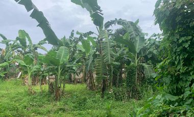 RESIDENTIAL LOT FOR SALE IN DUMAGUETE CITY ID 14914