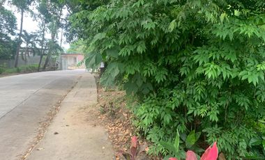 RESIDENTIAL LOT FOR SALE IN DUMAGUETE CITY ID 14914