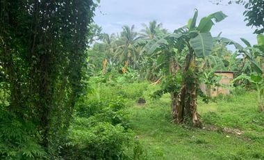 RESIDENTIAL LOT FOR SALE IN DUMAGUETE CITY ID 14914
