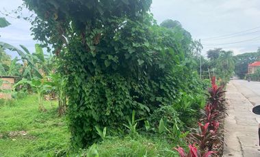 RESIDENTIAL LOT FOR SALE IN DUMAGUETE CITY ID 14914