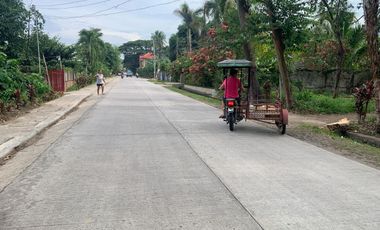 RESIDENTIAL LOT FOR SALE IN DUMAGUETE CITY ID 14914