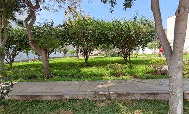 Departamento en Venta en Mayorazgo, Límite con La Molina, 3 dormitorios, Vista a Parque