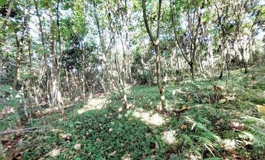 Jual Tanah 4.000 m2 di Desa Gelam, Cipocok Jaya, Serang Dekat Perumahan Karisma Gelam Asri