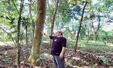 Jual Tanah 4.000 m2 di Desa Gelam, Cipocok Jaya, Serang Dekat Perumahan Karisma Gelam Asri