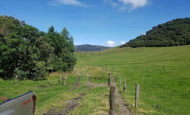 HACIENDA EN OTAVALO SELVA ALEGRE DE 62 HECTAREAS