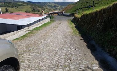 HACIENDA EN OTAVALO SELVA ALEGRE DE 62 HECTAREAS