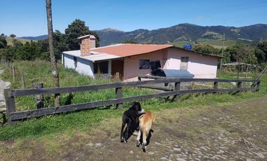 HACIENDA EN OTAVALO SELVA ALEGRE DE 62 HECTAREAS