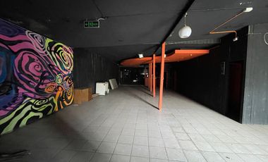 Propiedad comercial 1264M2 av Argentina Chillán