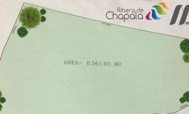 Venta de terreno en Chapala.			$39,000,000