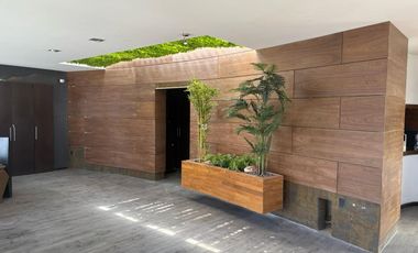 PENTHOUSE EN RENTA EN MILENIO 3/ QUERÉTARO