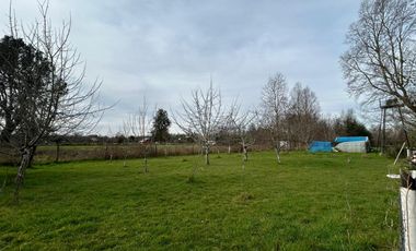 OPORTUNIDAD Parcela  salida Norte ,sector Catripulli.Pitraco a 25 kms de Valdivia..