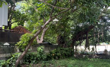 475/sqm Lot for Sale in Muntinlupa City, Metro Manila at Ayala Alabang Village