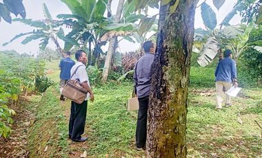 Jual Tanah 5.000 m2 di Cibanon Sukaraja Bogor Dekat Perumahan Summarecon Bogor