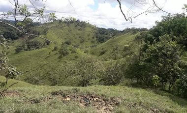 Finca en venta en Maceo