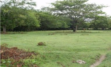 HERMOSA FINCA AGRO GANADERA ALVARADO- PIEDRAS (TOLIMA)