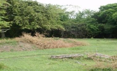 HERMOSA FINCA AGRO GANADERA ALVARADO- PIEDRAS (TOLIMA)