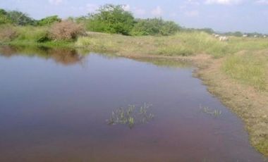 HERMOSA FINCA AGRO GANADERA ALVARADO- PIEDRAS (TOLIMA)