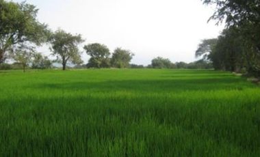 HERMOSA FINCA AGRO GANADERA ALVARADO- PIEDRAS (TOLIMA)