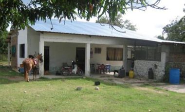 HERMOSA FINCA AGRO GANADERA ALVARADO- PIEDRAS (TOLIMA)