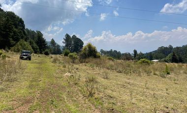 MAGNIFICO TERRENO EN VENTA EN MESA RICA