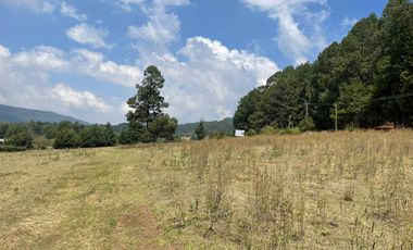 MAGNIFICO TERRENO EN VENTA EN MESA RICA