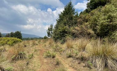 MAGNIFICO TERRENO EN VENTA EN MESA RICA