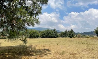 MAGNIFICO TERRENO EN VENTA EN MESA RICA