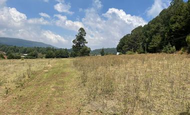 MAGNIFICO TERRENO EN VENTA EN MESA RICA