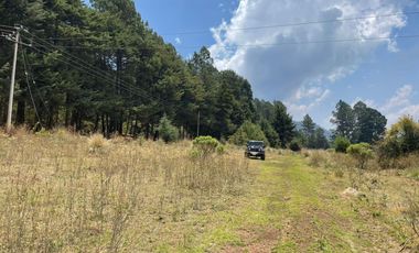 MAGNIFICO TERRENO EN VENTA EN MESA RICA